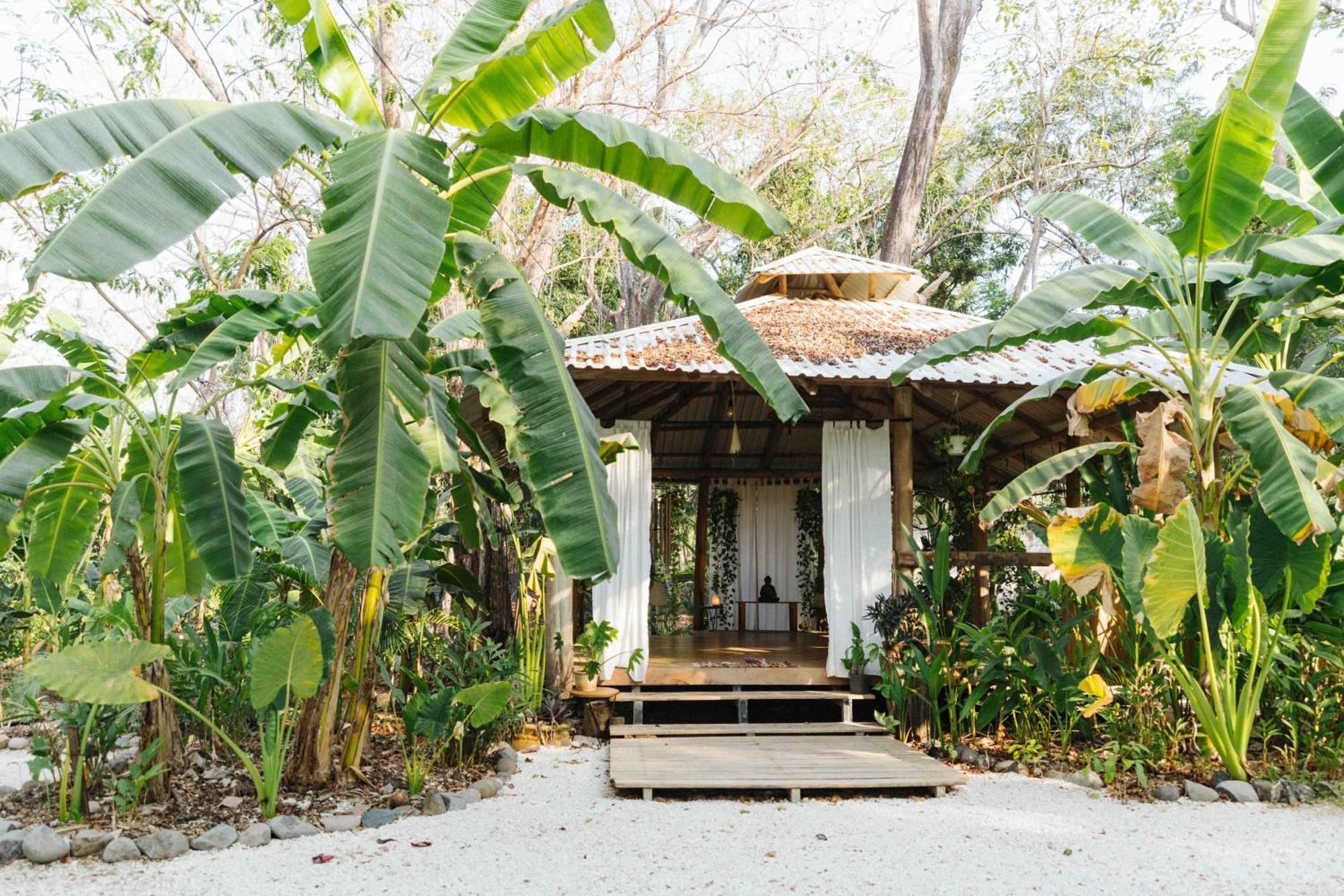 Zeneidas Surf Garden Playa Santa Teresa  Extérieur photo