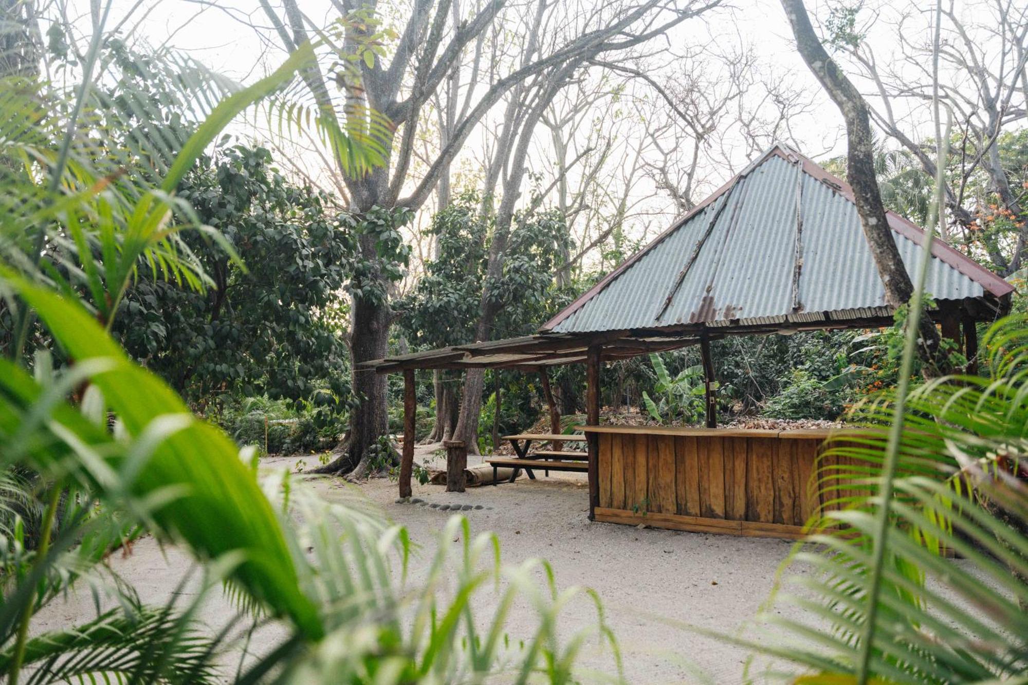 Zeneidas Surf Garden Playa Santa Teresa  Extérieur photo