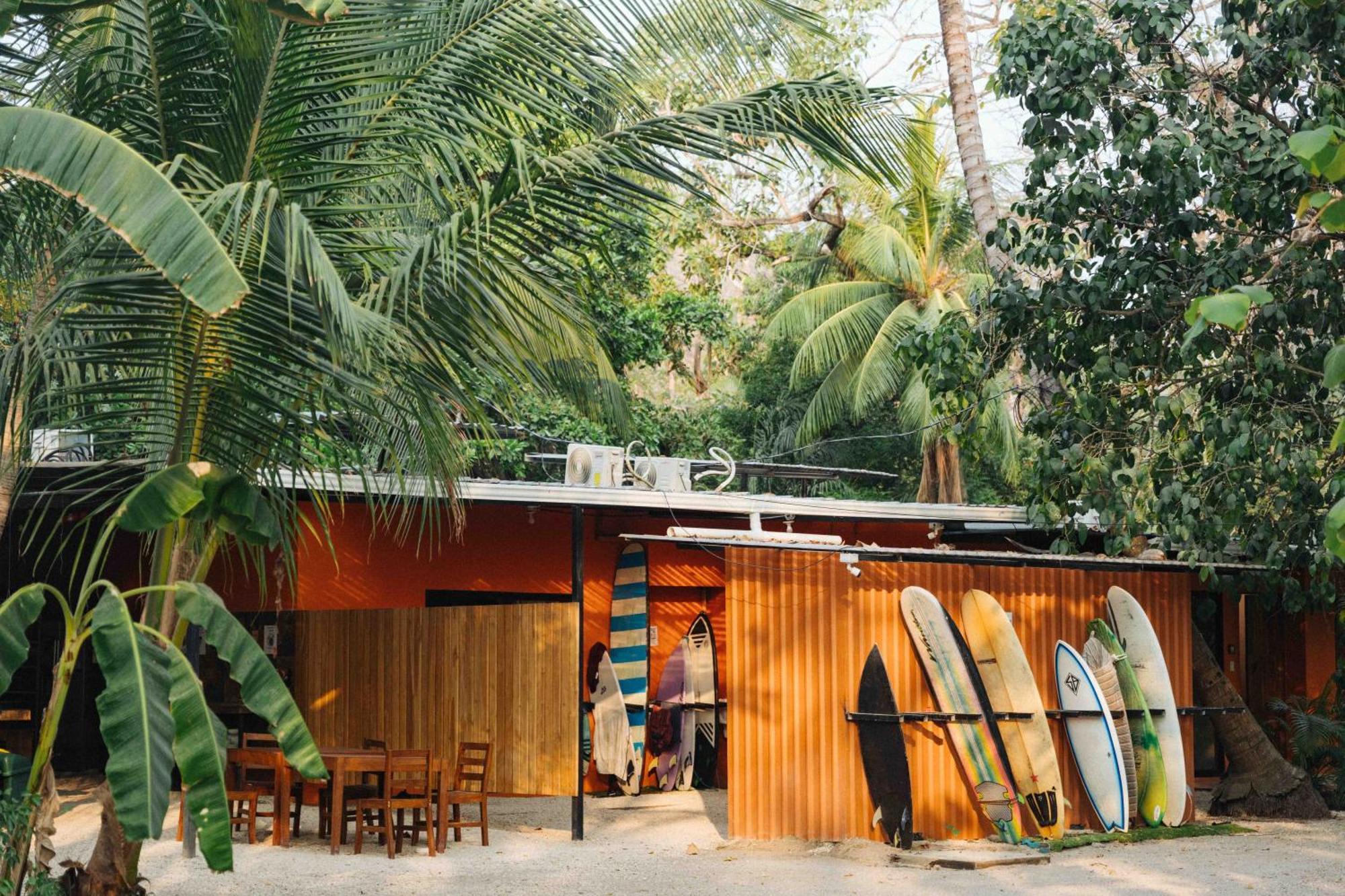Zeneidas Surf Garden Playa Santa Teresa  Extérieur photo