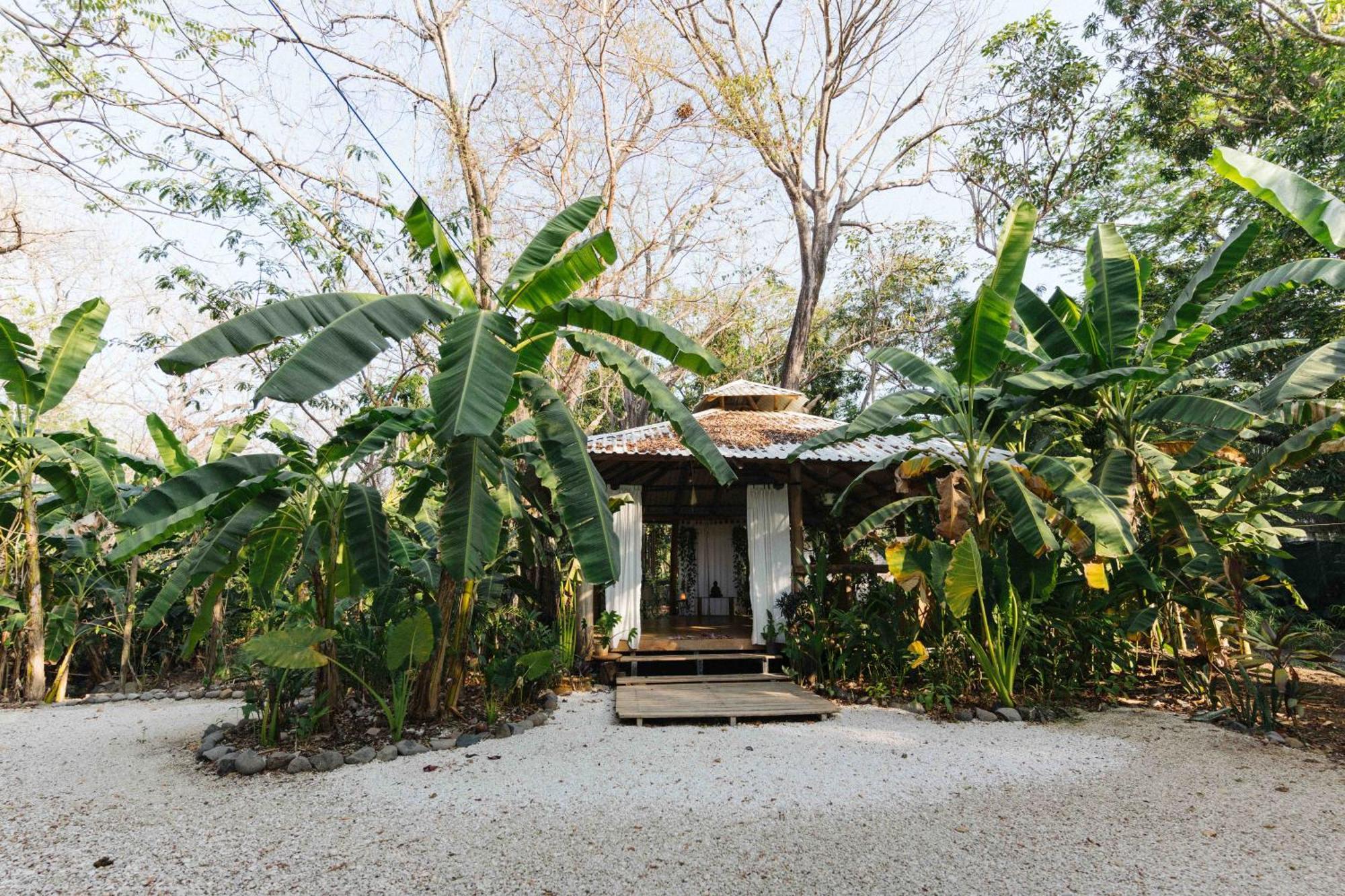 Zeneidas Surf Garden Playa Santa Teresa  Extérieur photo