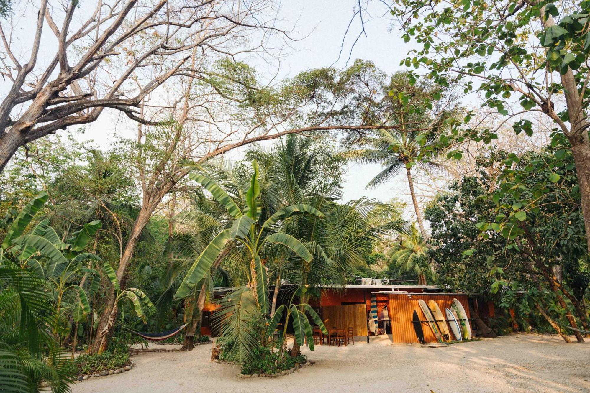 Zeneidas Surf Garden Playa Santa Teresa  Extérieur photo